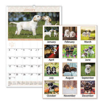 AT-A-GLANCE® Puppies Monthly Wall Calendar, Puppies Photography, 15.5 X 22.75, White-multicolor Sheets, 12-month (jan To Dec): 2022 freeshipping - TVN Wholesale